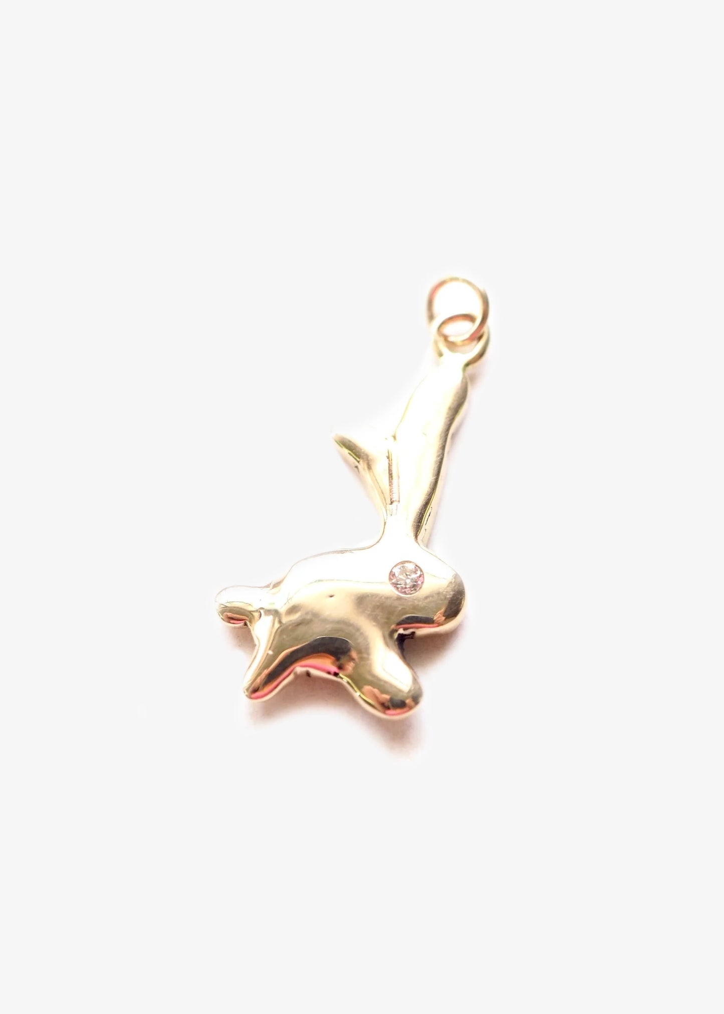 Bunny-Shapiro-Rabbit-Charm