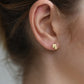 8.6.4-EA-FTS-03-Earrings