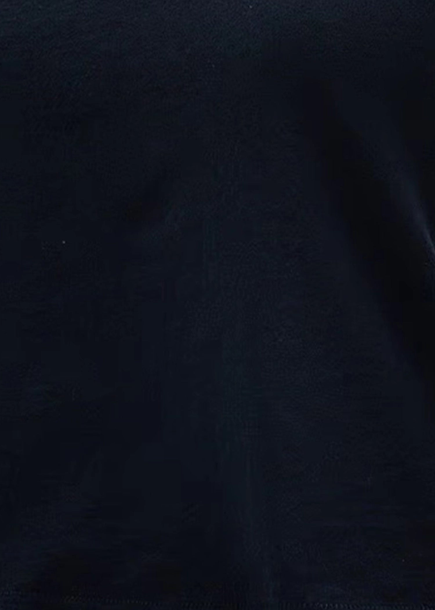 SLVRLAKE-Easy-Tee-Raven