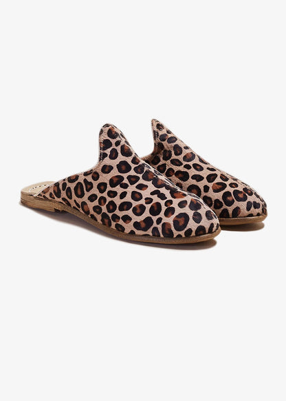 Sabah-Leopard-Baba